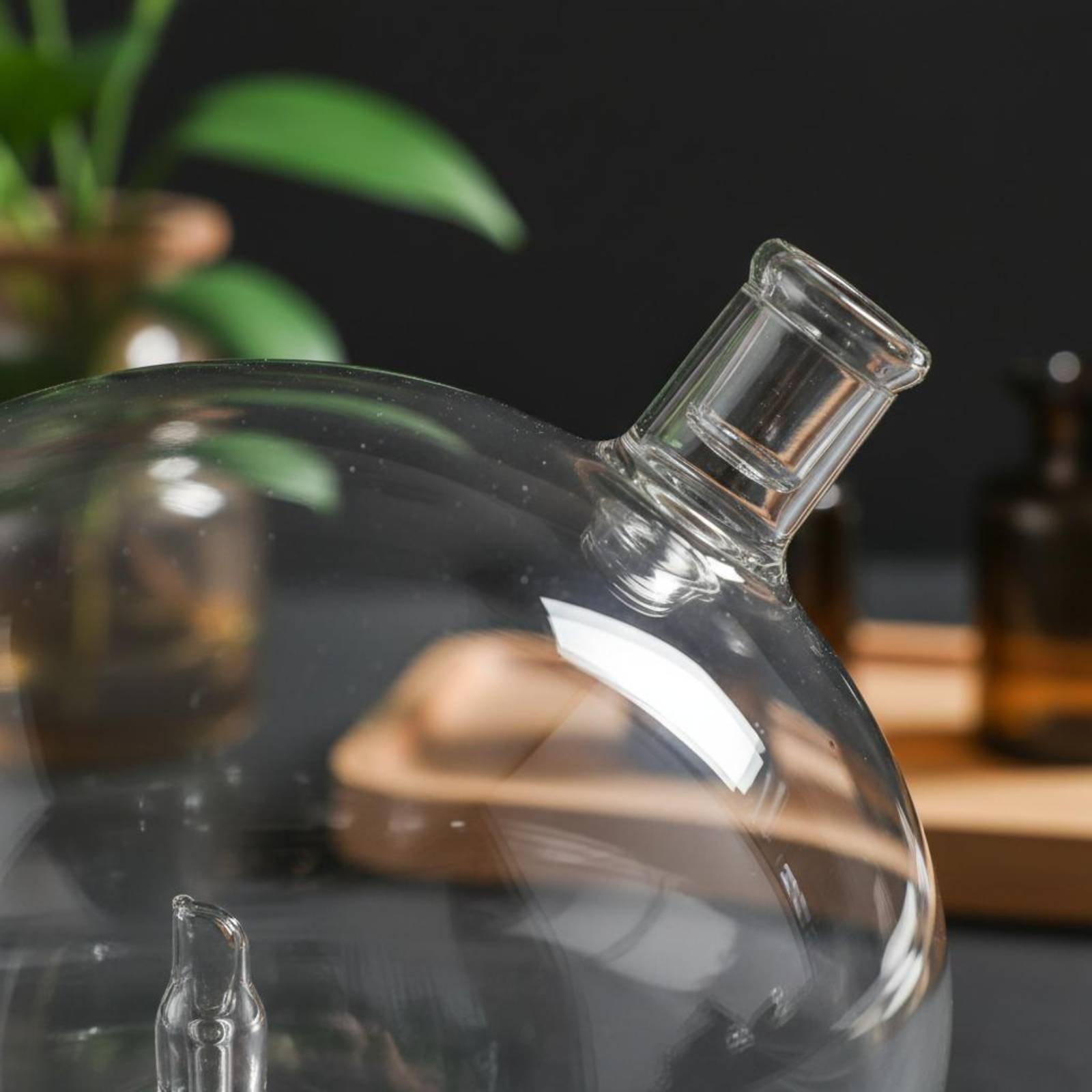 Diffuser Bottle Universal Fit  - đánh giá và giá Home Fragrance Diffusers